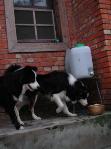 1380945760-3213997191