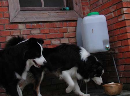 1380945760-3213997191