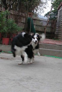 1380945760-882550110