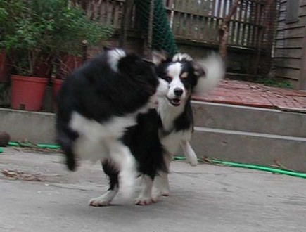 1380945760-882550110