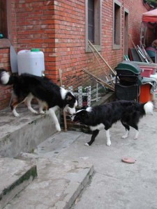 1380945761-1506639966