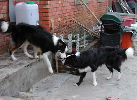 1380945761-1506639966