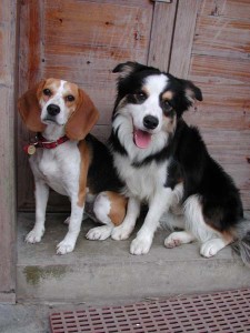 1380945761-1954263667