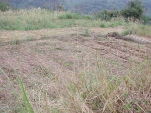 1380945762-2125790297