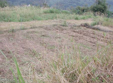 1380945762-2125790297