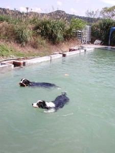 1380945762-3377901569