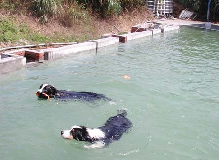 1380945762-3377901569