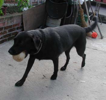 1380945763-1789441453