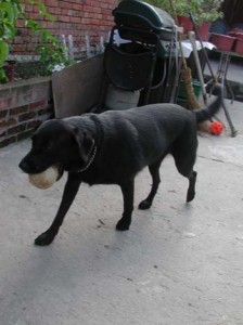 1380945763-1789441453