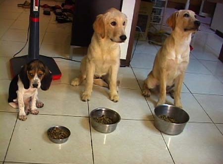 1380945764-2359732154