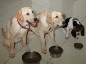 1380945764-690033145