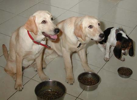 1380945764-690033145