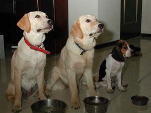 1380945765-3270894280