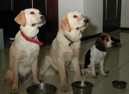 1380945765-3270894280