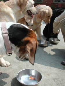 1380945766-1357299860