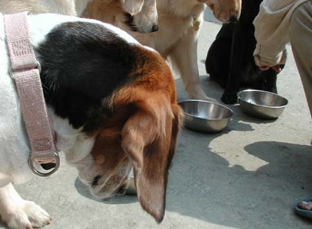 1380945766-1357299860