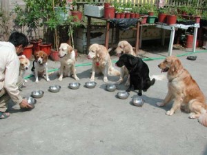 1380945766-1996864049