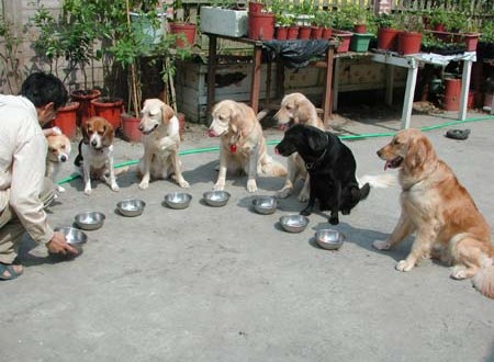 1380945766-1996864049