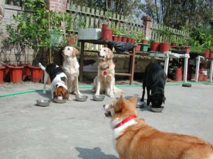 1380945767-291495728