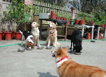 1380945767-291495728