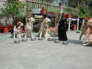 1380945767-408369699