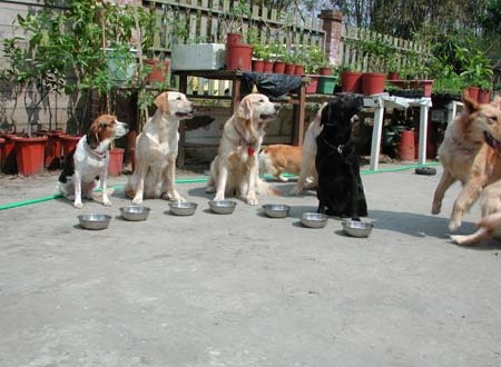 1380945767-408369699