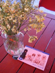 1380945768-2393011922