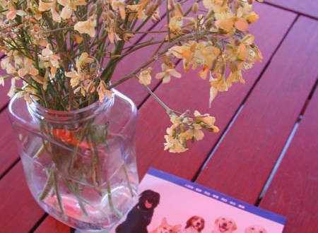 1380945768-2393011922