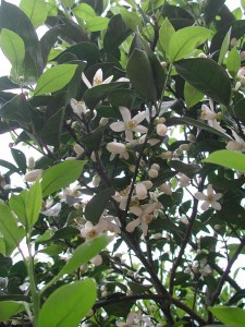 1380945769-1851630789