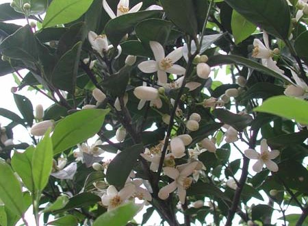 1380945769-1851630789