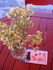 1380945769-2018015523