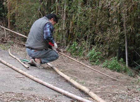 1380945770-3652587055