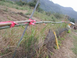 1380945770-468467334