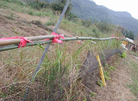 1380945770-468467334