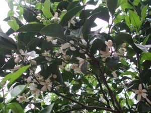 1380945770-960558688