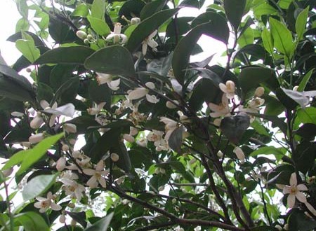 1380945770-960558688