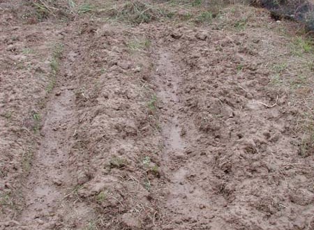 1380945771-1340860507