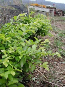 1380945771-314299508