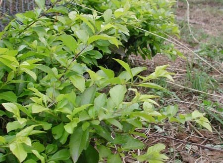 1380945771-314299508