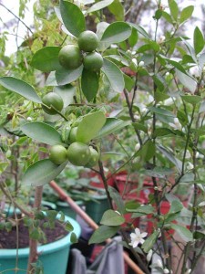 1380945772-155354285