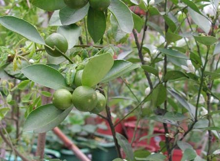 1380945772-155354285