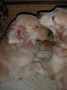 1380945773-3446709871