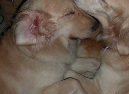 1380945773-3446709871