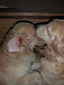 1380945774-1112222595