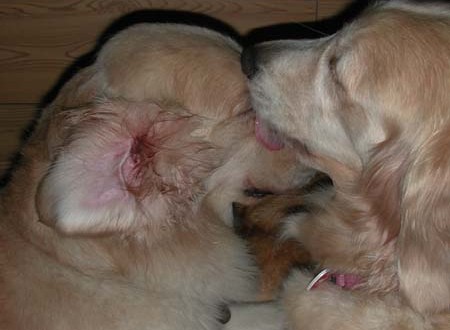 1380945774-1112222595