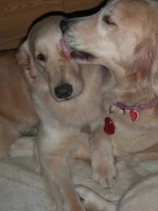 1380945774-2808295919