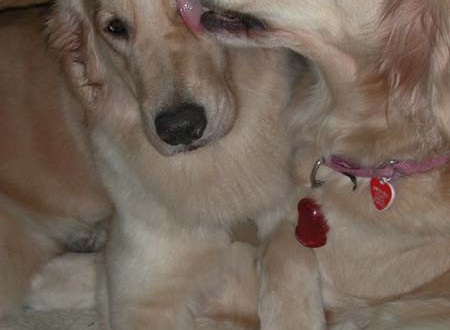 1380945774-2808295919