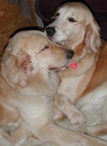 1380945775-2688768727