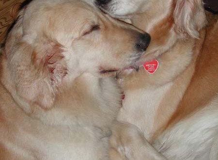 1380945775-2688768727