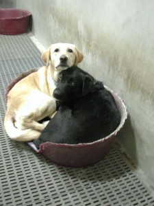 1380945776-1201859869